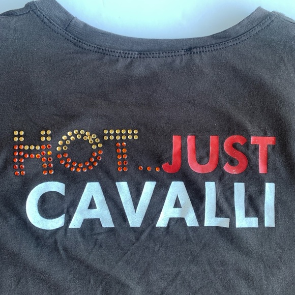 Just Cavalli Printed and Rhinestone Embellished Brown T-Shirt XS Women - Picture 5 of 6